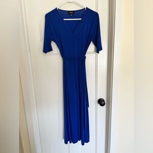 MSK Blue Dress